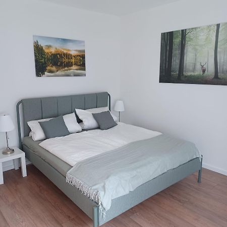 Ferienwohnung Wandertraum Braunlage Exterior foto